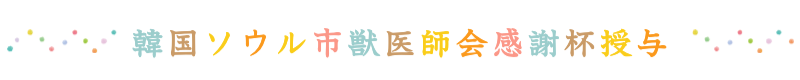 韓国logo