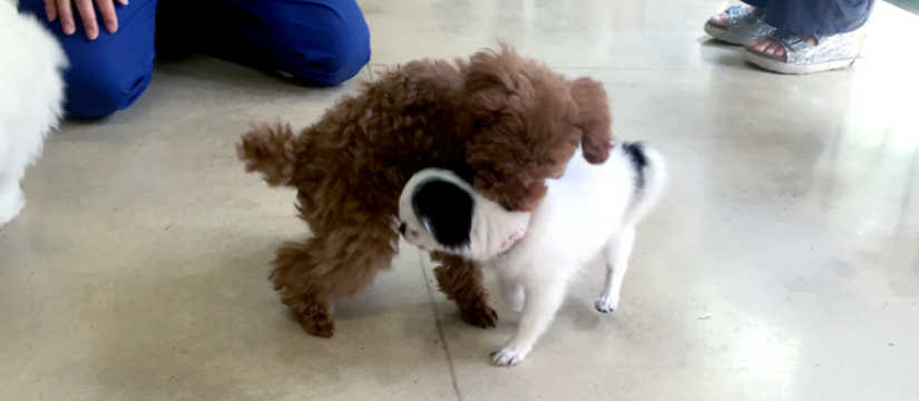 s_image3.jpg